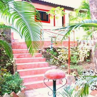 Jolly Jolly Lester, Goa 5